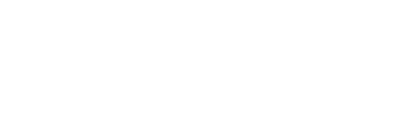 Snyder Langston